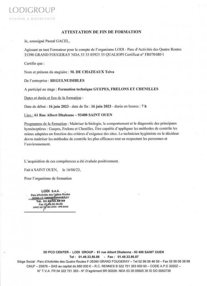 Attestation Frelons