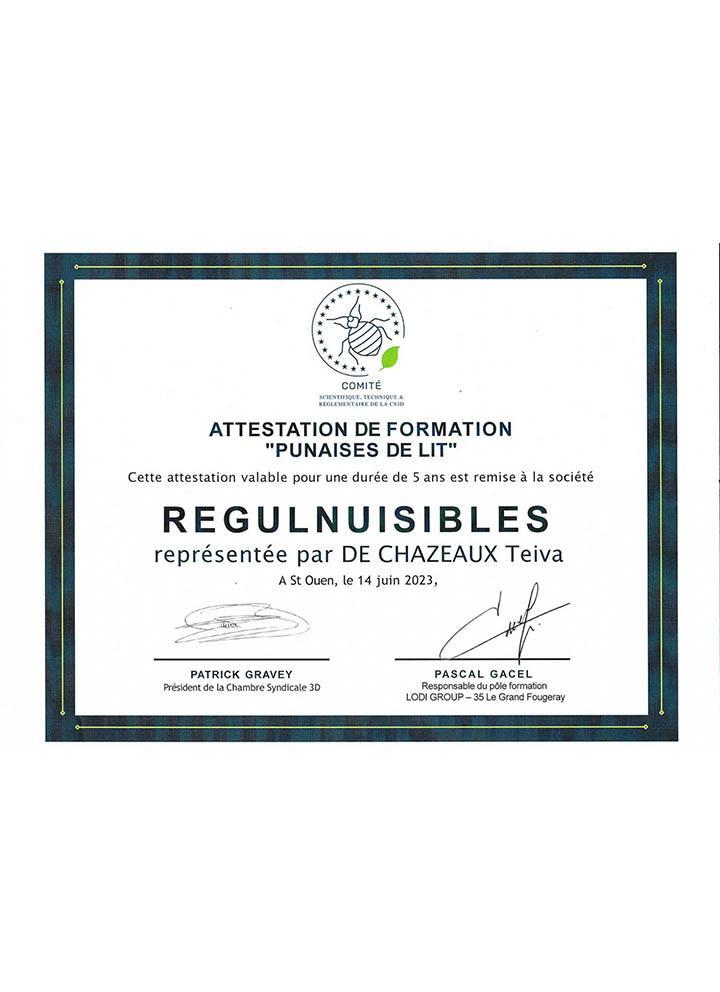 Punaise certificat